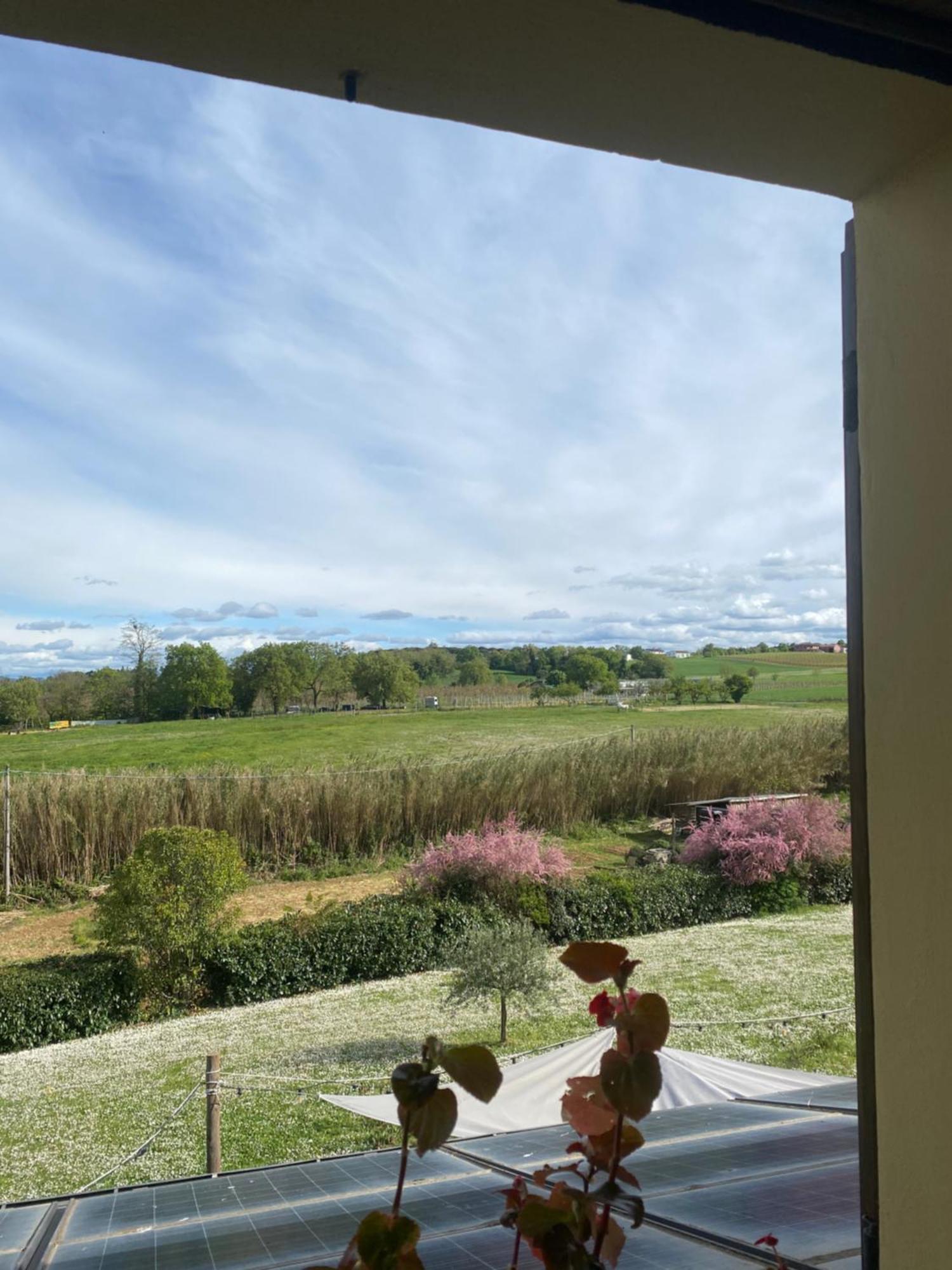 La Siba Experience Bed & Breakfast Forli Luaran gambar