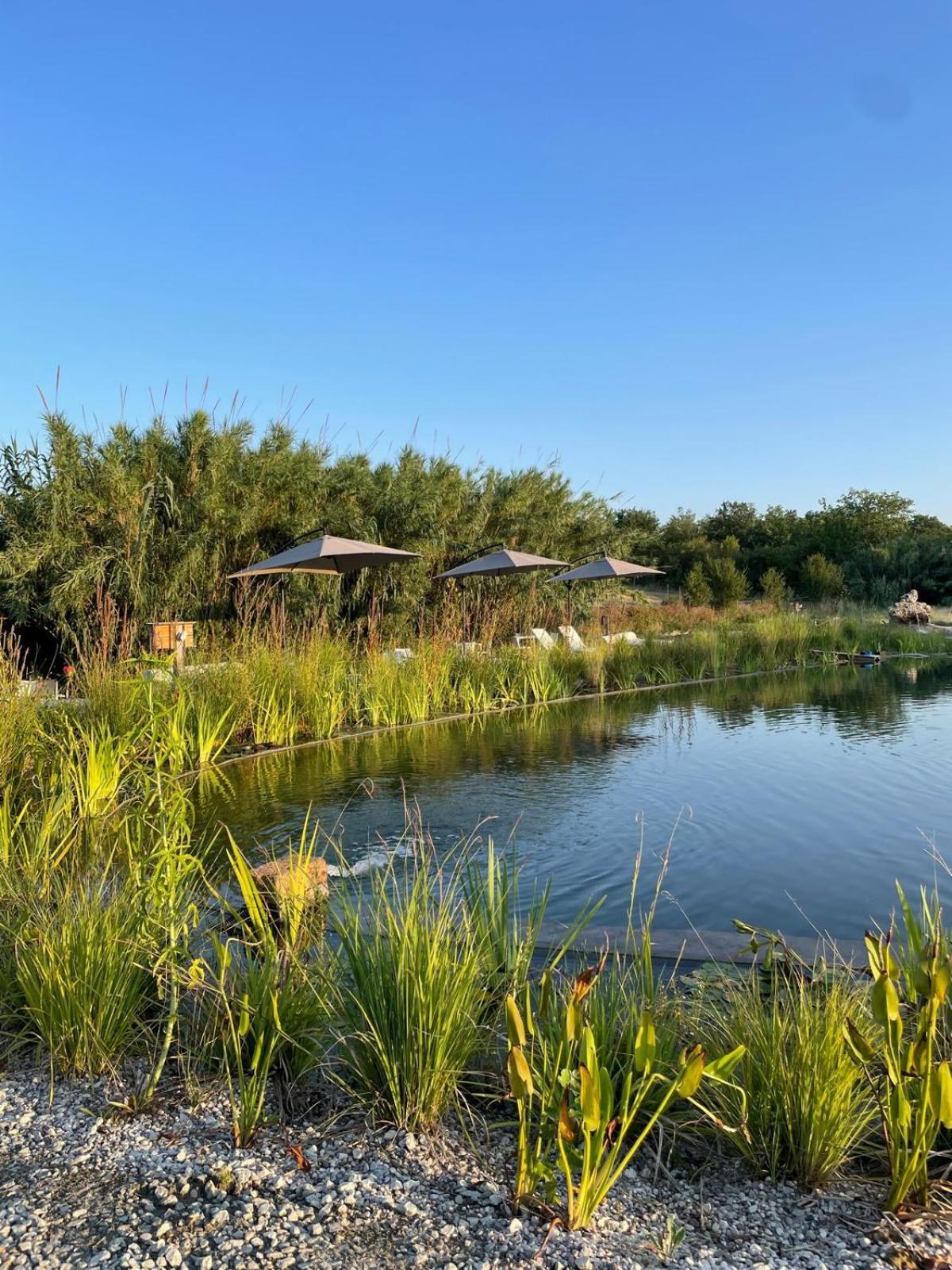 La Siba Experience Bed & Breakfast Forli Luaran gambar
