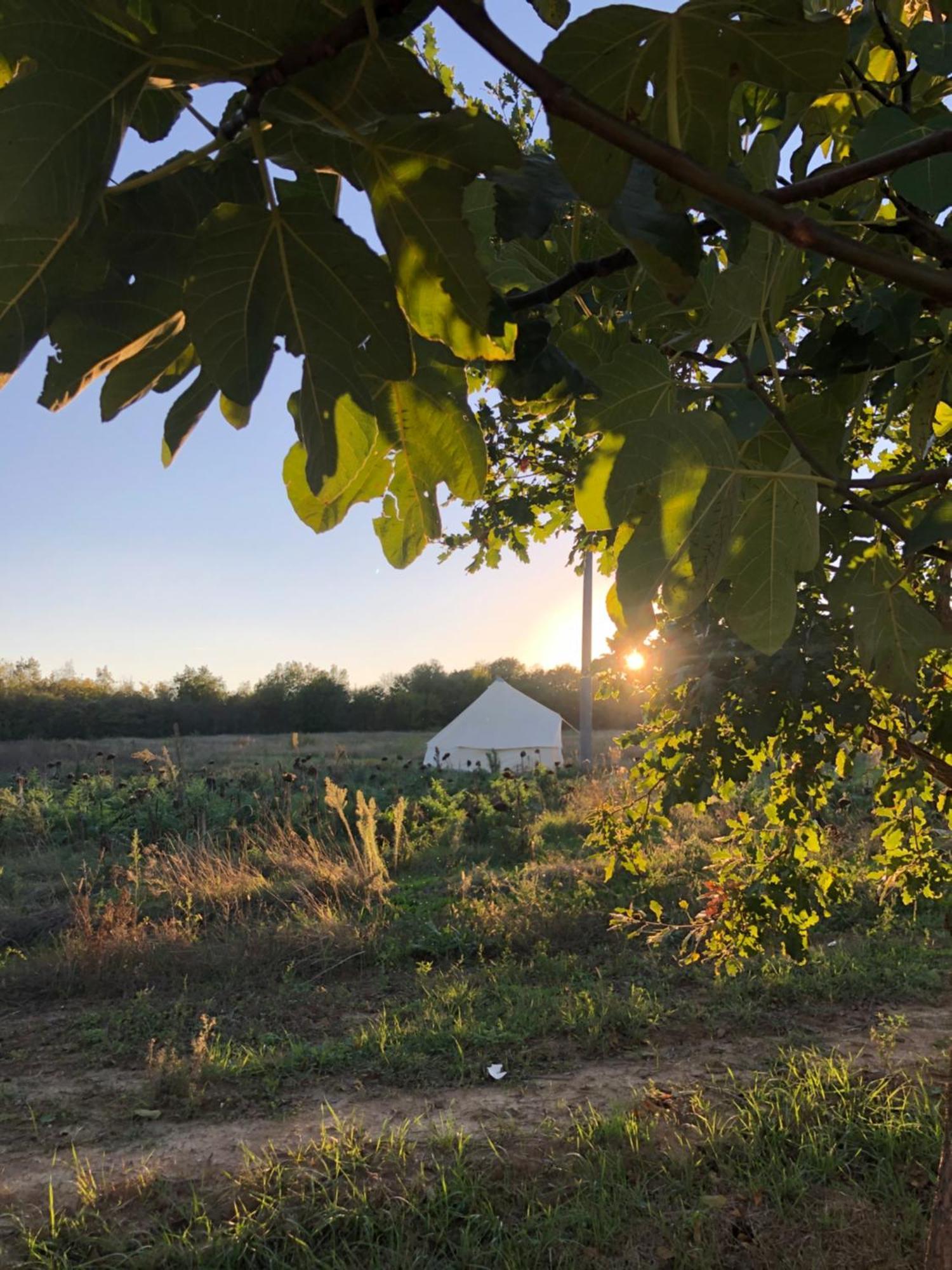 La Siba Experience Bed & Breakfast Forli Luaran gambar